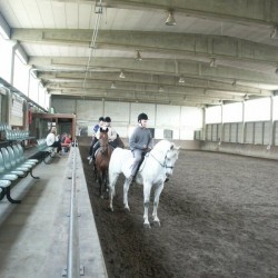 afbeelding 014 - Sportraad Zaventem 